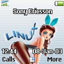 Тема №28 для Sony Ericsson J300, K300